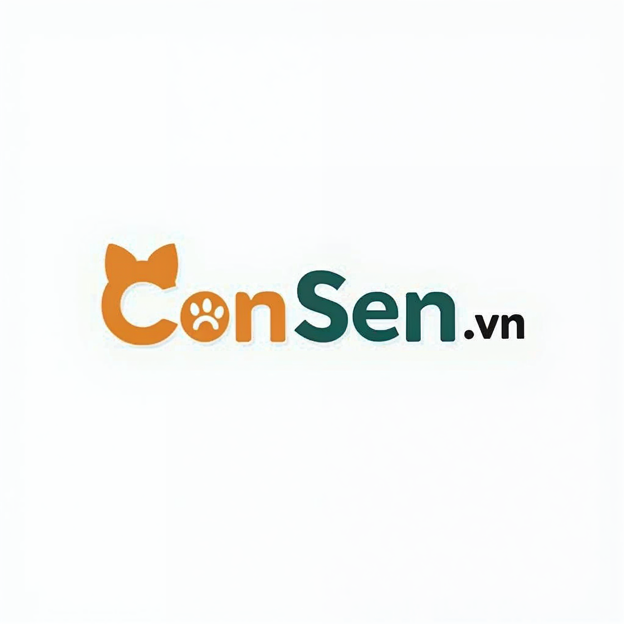 ConSen Group